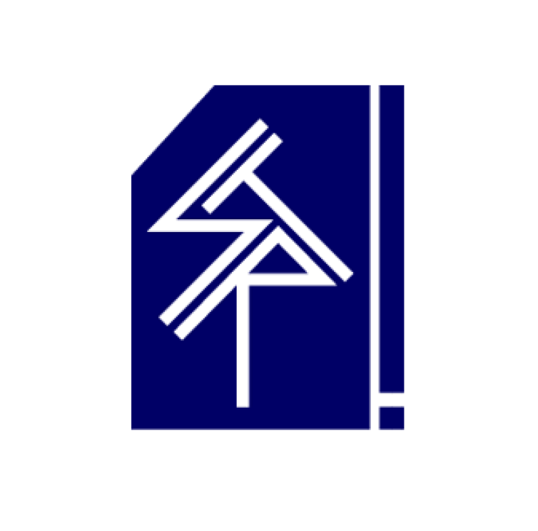 Picture of STRATEGIES Team