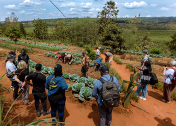 Visit to the Ferme du Lac by participants in the KCOA 2.0 transition team meeting